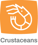 Crustaceans
